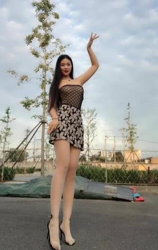 三分野电视剧免费观看完整版高清